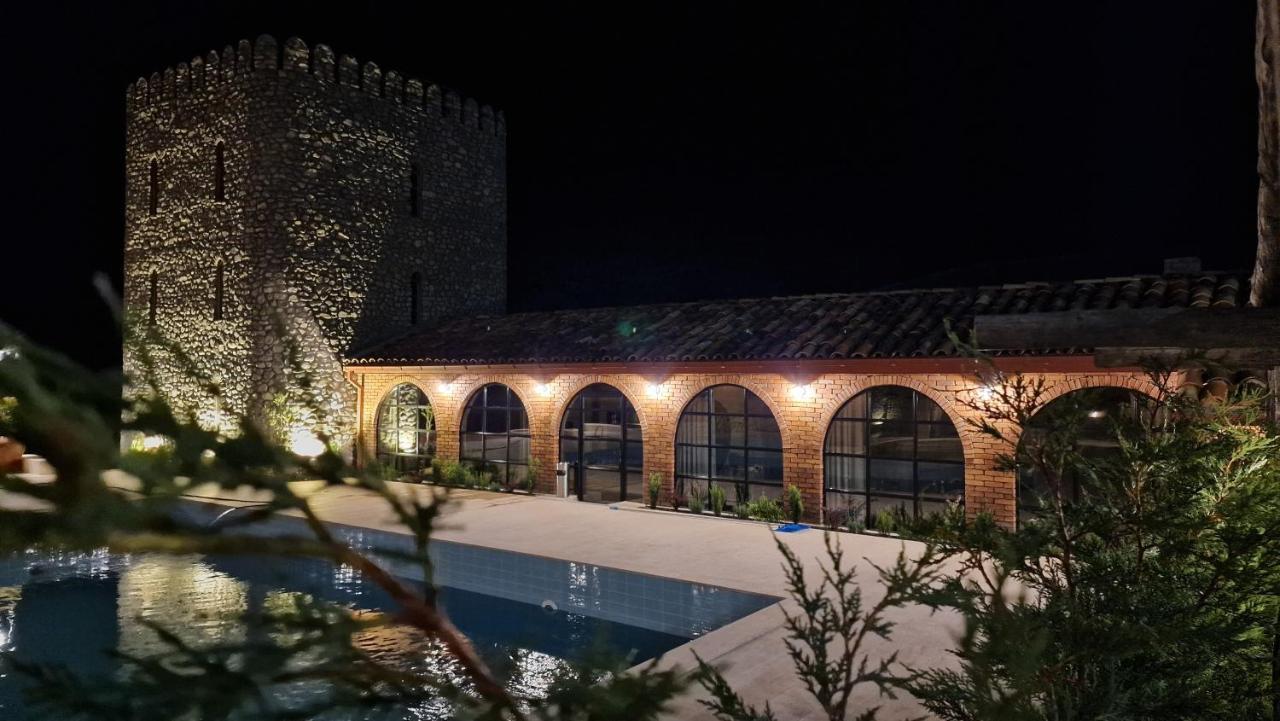 Giorgi Ushikishvilis Chateau-Marani Akhmeta Dış mekan fotoğraf