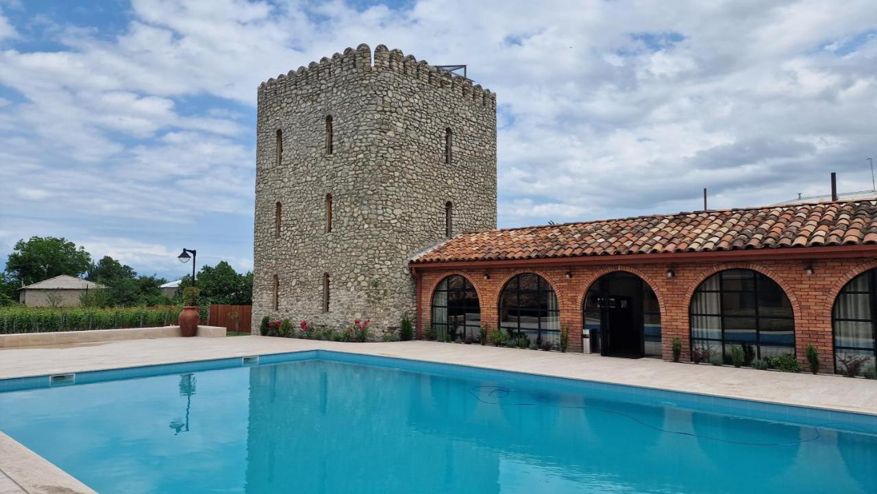 Giorgi Ushikishvilis Chateau-Marani Akhmeta Dış mekan fotoğraf