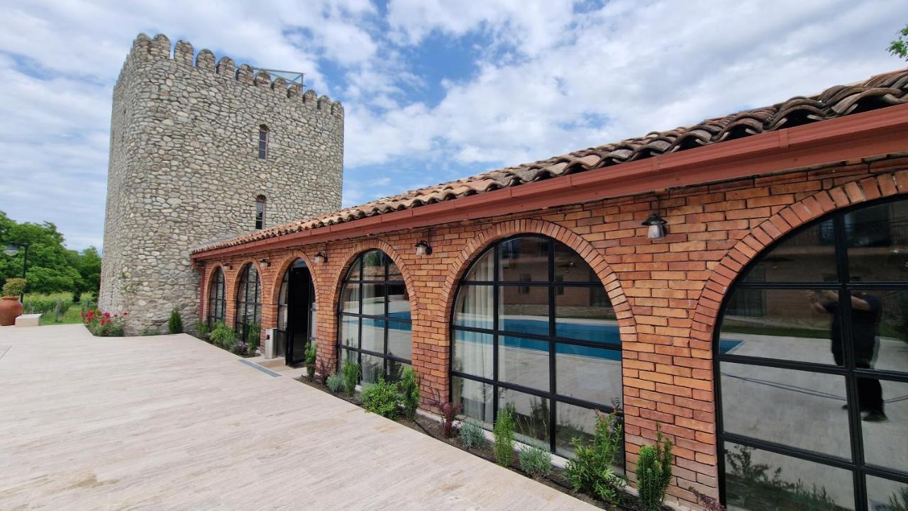 Giorgi Ushikishvilis Chateau-Marani Akhmeta Dış mekan fotoğraf