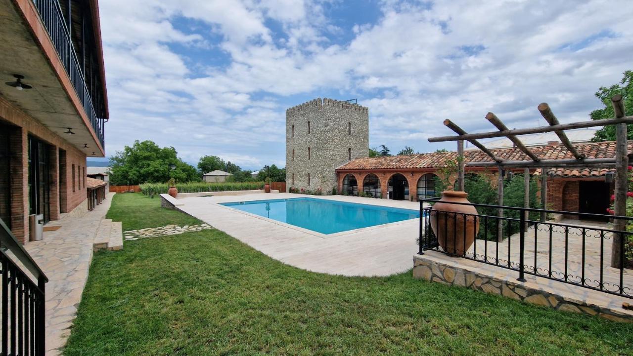 Giorgi Ushikishvilis Chateau-Marani Akhmeta Dış mekan fotoğraf